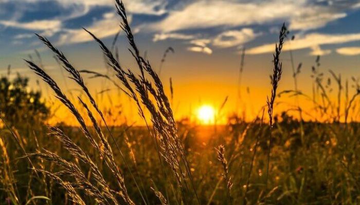  Monitor da ANA aponta avanço da seca fraca no Centro-Oeste do Paraná em fevereiro 